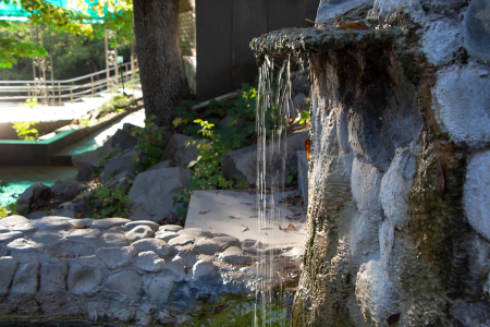 Санаторий «Галерея Палас», Пятигорск, изображение 65