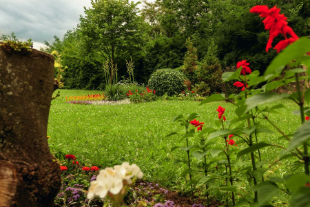 Санаторий «Джинал», Кисловодск, изображение 45