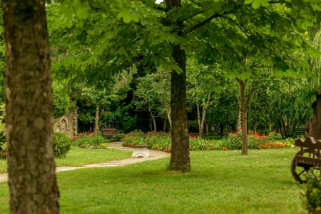 Санаторий «Джинал», Кисловодск, изображение 40