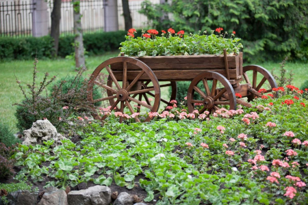 Санаторий «Нива», Ессентуки, изображение 79 Санаторий «Нива», Ессентуки, изображение 79