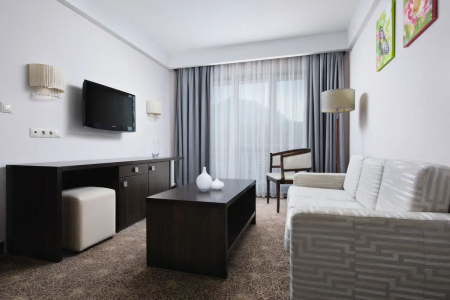 Санаторий «Плаза», Железноводск, изображение 38