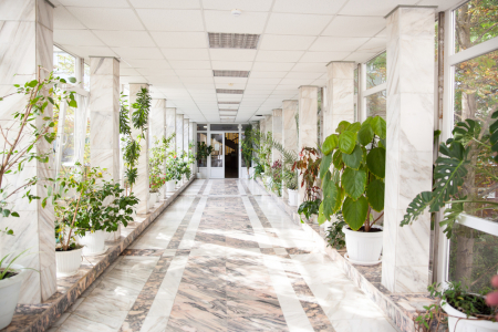 Санаторий «им. С.М. Кирова», Пятигорск, изображение 60