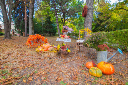Санаторий «Нива», Ессентуки, изображение 20 Санаторий «Нива», Ессентуки, изображение 20