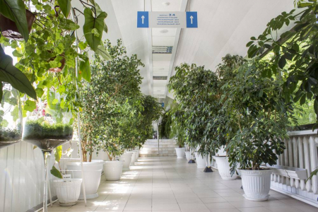 Санаторий «Родник», Пятигорск, изображение 45 Санаторий «Родник», Пятигорск, изображение 45