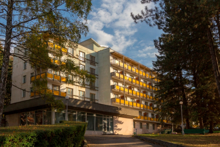 Санаторий «Пикет», Кисловодск