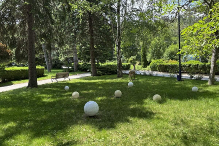 Санаторий «Лесной», Железноводск, изображение 48