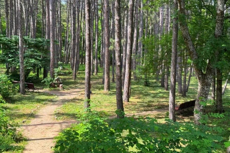 Санаторий «Лесной», Железноводск, изображение 32