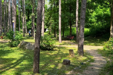 Санаторий «Лесной», Железноводск, изображение 57