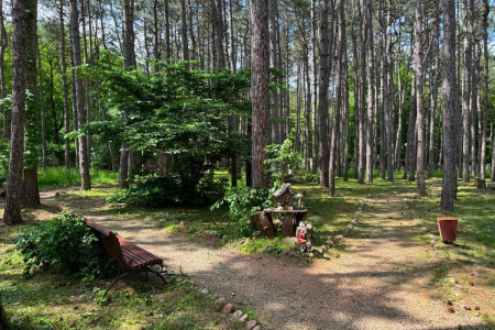 Санаторий «Лесной», Железноводск, изображение 58