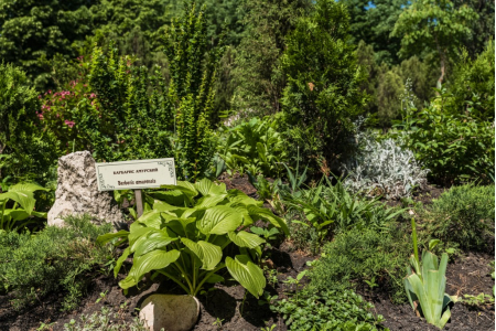 Санаторий «Дубрава», Железноводск, изображение 29