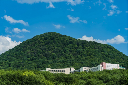 Санаторий «Дубрава», Железноводск, изображение 34