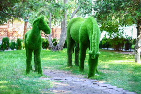 Санаторий «Парус», Анапа, изображение 42