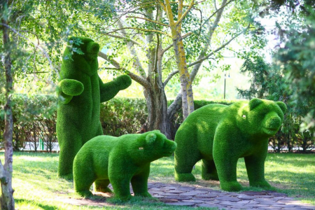 Санаторий «Парус», Анапа, изображение 43