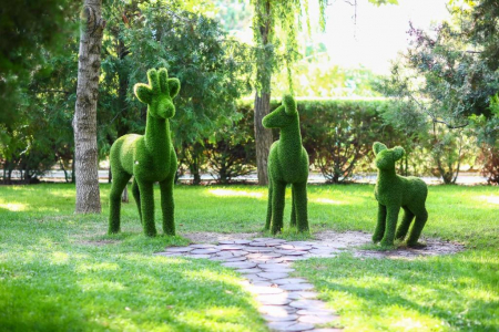 Санаторий «Парус», Анапа, изображение 45