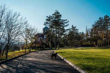 Санаторий «Елизавета-Минеральные Воды», Железноводск, изображение 71 Санаторий «Елизавета-Минеральные Воды», Железноводск, изображение 71