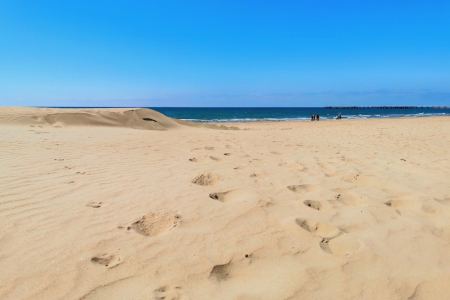 Пансионат «Урал», Анапа, изображение 7