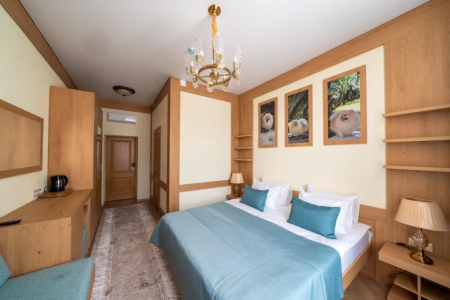 Санаторий «Дворец Нарзанов», Кисловодск, изображение 22