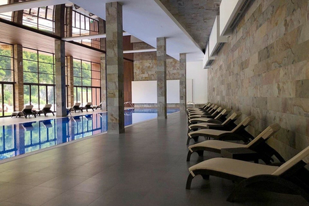 Отель «Форрест Терраса» (Forrest Terrace Hotel), Фиагдон, Северная Осетия, изображение 25