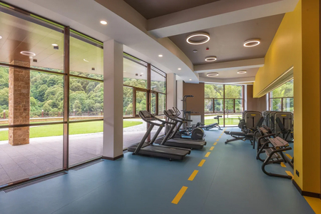 Отель «Форрест Терраса» (Forrest Terrace Hotel), Фиагдон, Северная Осетия, изображение 38