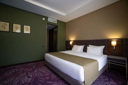 Отель «Форрест Терраса» (Forrest Terrace Hotel), Фиагдон, Северная Осетия, изображение 58