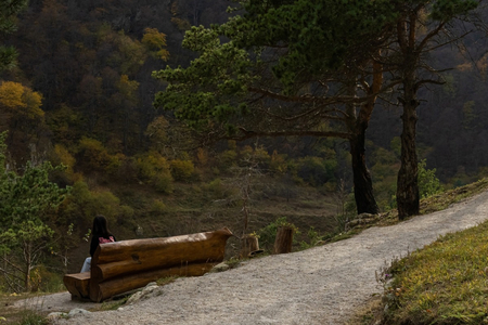 Отель «Форрест Терраса» (Forrest Terrace Hotel), Фиагдон, Северная Осетия, изображение 65
