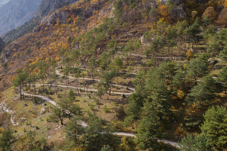 Отель «Форрест Терраса» (Forrest Terrace Hotel), Фиагдон, Северная Осетия, изображение 66