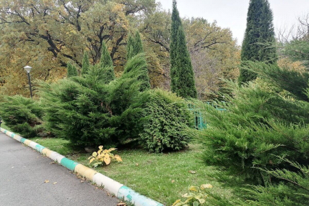 Отель «Оркестра Ока Спа Резорт», Московская обл., изображение 32