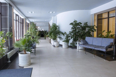 Отель «Оркестра Ока Спа Резорт», Московская обл., изображение 33