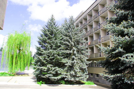 Санаторий «Голубые ели», Нальчик, изображение 22