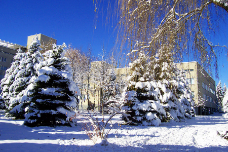 Санаторий «Голубые ели», Нальчик, изображение 25