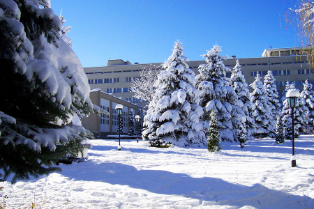 Санаторий «Голубые ели», Нальчик, изображение 24