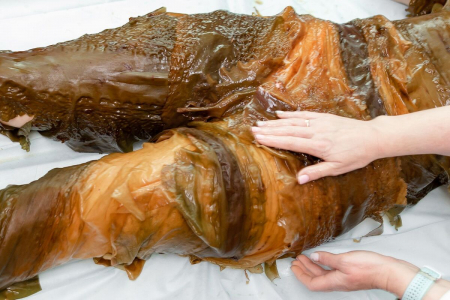 Санаторий «Предгорье Кавказа», Горячий Ключ, изображение 11