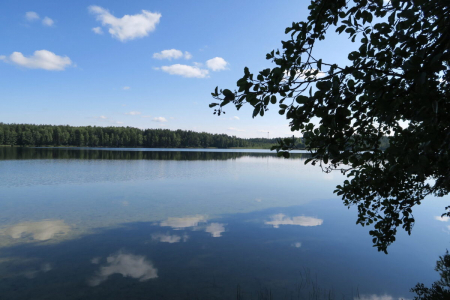 Санаторий «Озеро Белое», Московская обл., изображение 30