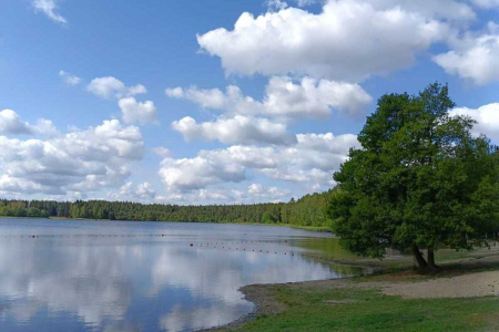 Санаторий «Озеро Белое», Московская обл., изображение 28