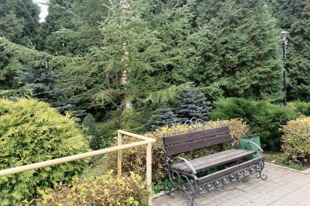 Отель «Оркестра Ока Спа Резорт», Московская обл., изображение 31