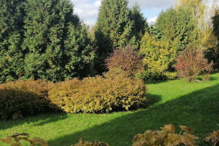 Отель «Оркестра Ока Спа Резорт», Московская обл., изображение 30