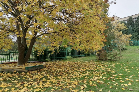 Отель «Оркестра Ока Спа Резорт», Московская обл., изображение 24