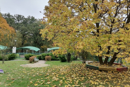 Отель «Оркестра Ока Спа Резорт», Московская обл., изображение 25