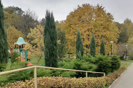 Отель «Оркестра Ока Спа Резорт», Московская обл., изображение 26