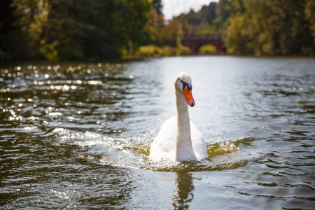 Санаторий «Барвиха», Московская обл., изображение 22