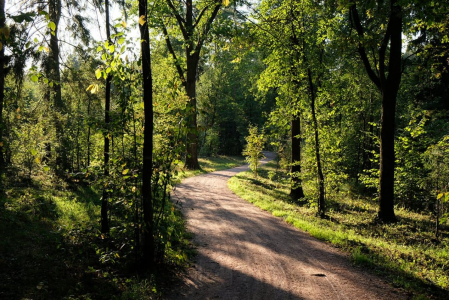 Санаторий «Переделкино», Московская обл., изображение 13 Санаторий «Переделкино», Московская обл., изображение 13