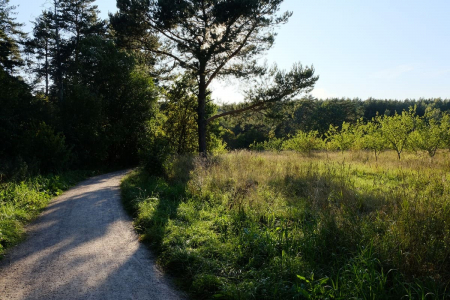 Санаторий «Переделкино», Московская обл., изображение 16 Санаторий «Переделкино», Московская обл., изображение 16