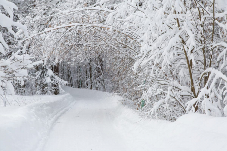 Санаторий «Переделкино», Московская обл., изображение 20 Санаторий «Переделкино», Московская обл., изображение 20