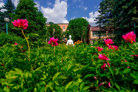 Санаторий «Переделкино», Московская обл., изображение 18 Санаторий «Переделкино», Московская обл., изображение 18