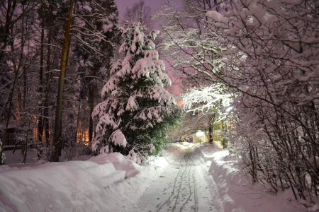 Санаторий «Переделкино», Московская обл., изображение 22 Санаторий «Переделкино», Московская обл., изображение 22