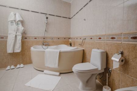 Апартамент 3‑комнатный 2‑местный_8 - Санаторий «Барвиха», Московская обл.