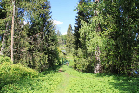 Санаторий «Актер», Московская обл., изображение 16