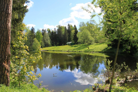Санаторий «Актер», Московская обл., изображение 17