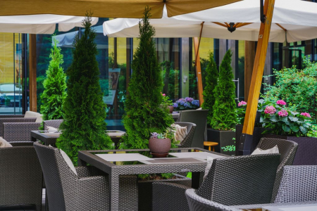 SPA-отель «Барвиха», Московская обл, изображение 31