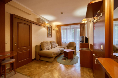 Номер Двухкомнатный стандартный 1 и 2 этаж - Пансионат с лечением «Заря», Московская обл - 3